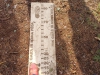 img-20260921-wa0033