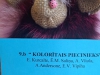 koloritais-piecinieks_9-b